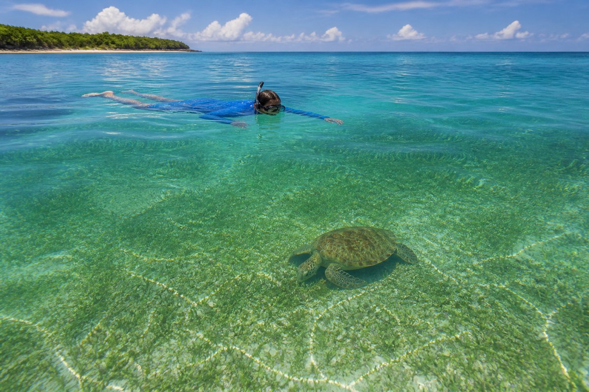 Tortue marine et snorkeleur séparés par une large distance dans l’eau